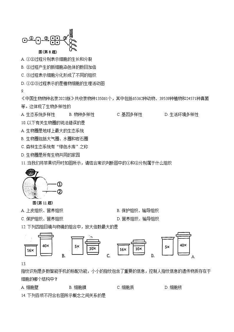 福建省泉州市多校2023_2024学年七年级上学期生物联考期末试卷（文字版，含答案）第2页