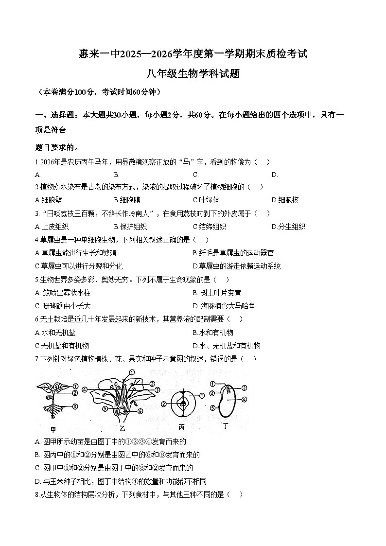 广东省揭阳市惠来县第一中学2025_2026学年八年级上学期1月期末生物试题（文字版，含答案）第1页
