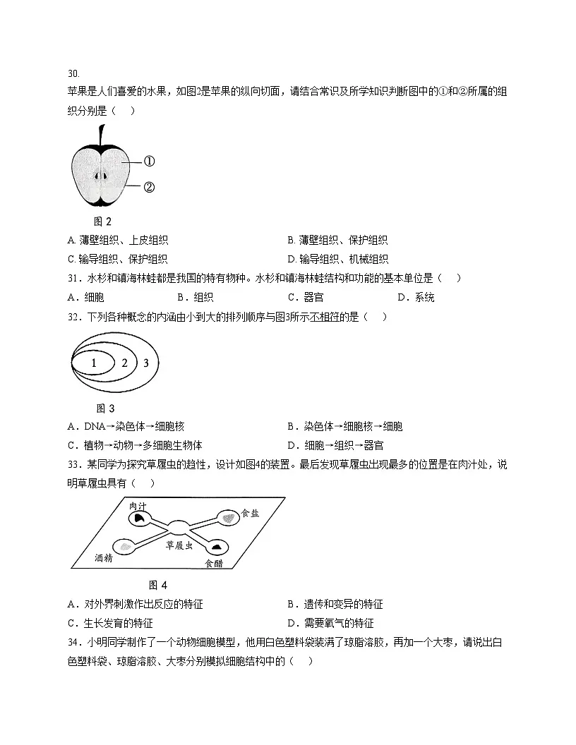 广西梧州市2025__2026学年七年级上学期生物期中试题（文字版，含答案）第3页
