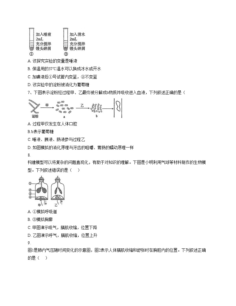 山东省德州市平原县龙门中学等三校联考2025_2026学年八年级上学期11月期中生物试题（文字版，含答案）第2页