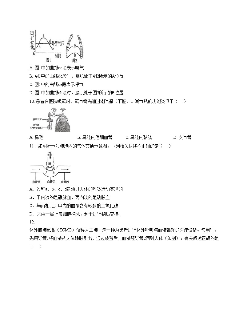 山东省德州市平原县龙门中学等三校联考2025_2026学年八年级上学期11月期中生物试题（文字版，含答案）第3页