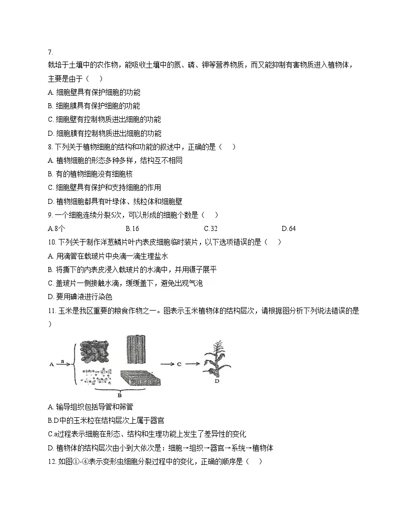 山东省德州市平原县龙门中学等三校联考2025_2026学年七年级上学期11月期中生物试题（文字版，含答案）第2页