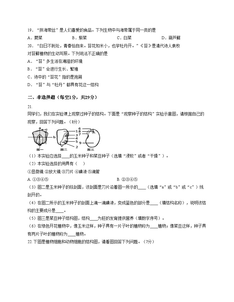 吉林省吉林市蛟河市2025_2026学年七年级上学期期中考试生物试题（文字版，含答案）第3页