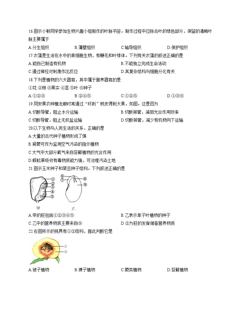 福建省厦门市同安区2025_2026学年七年级上学期期中生物试题（文字版，含答案）第3页