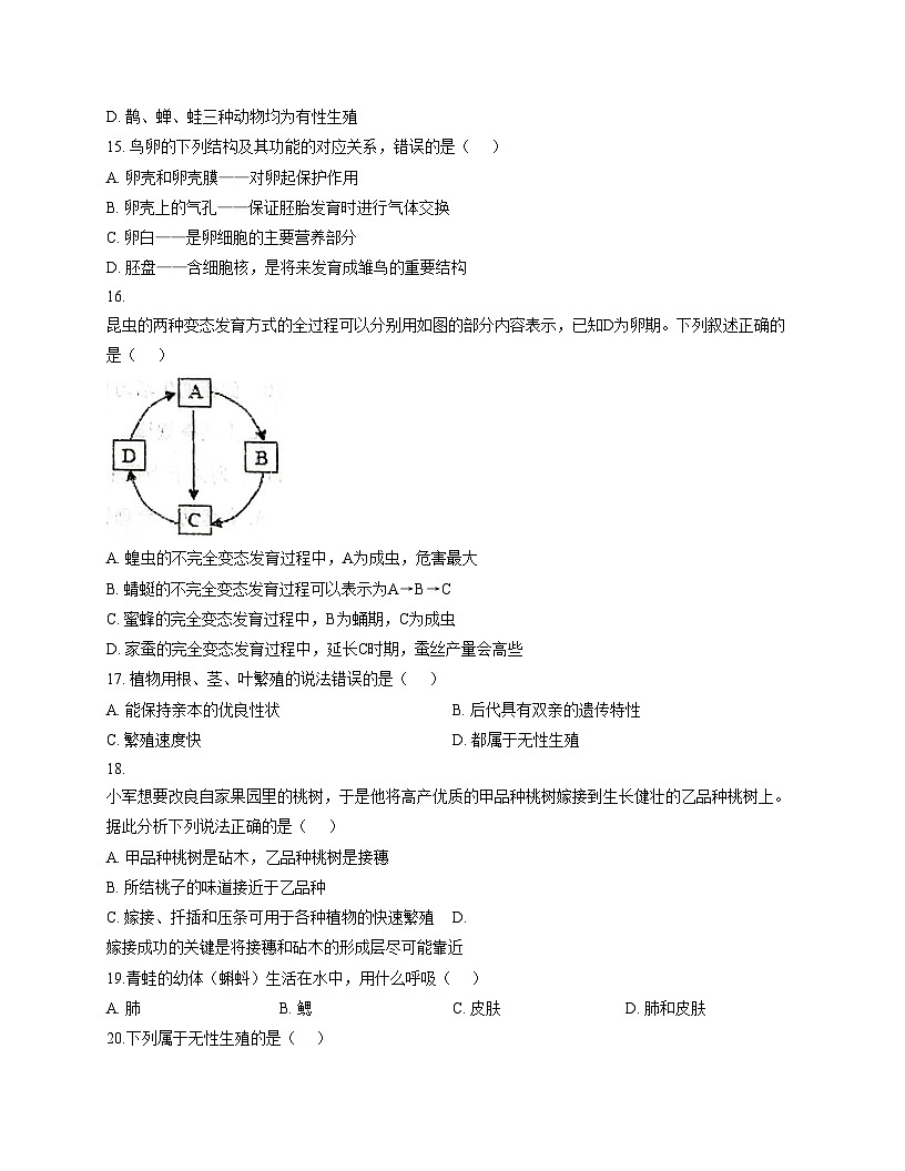 河南大学附属中学2025_2026学年第一学期期中考试八年级生物（文字版，含答案）第3页