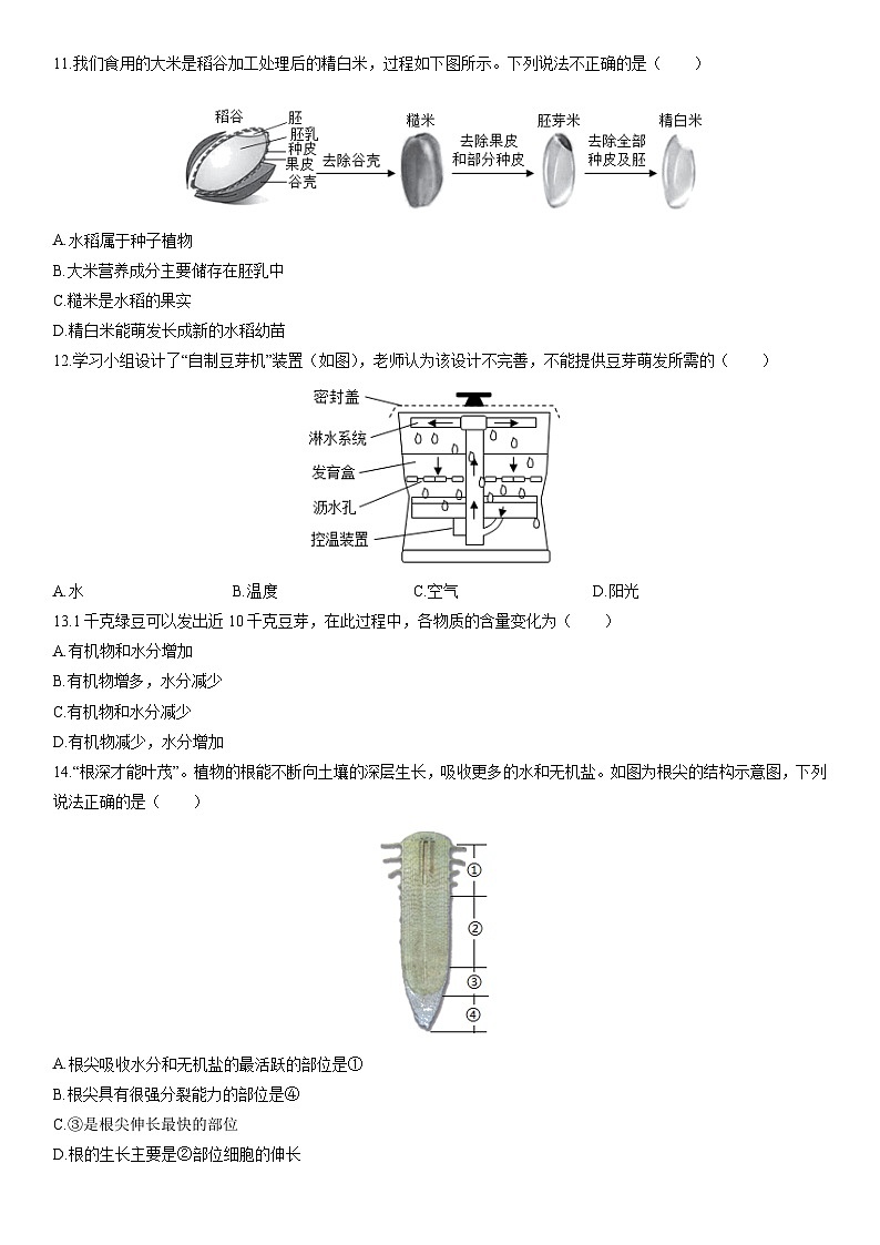 2025-2026学年重庆市合川区八年级上学期期末生物试卷（学生版）第3页