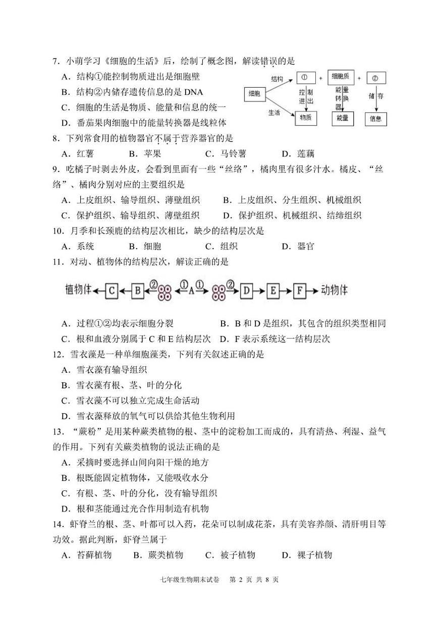 2025-2026学年福建漳州市第一中学上学期期末学情调研七年级生物学试题（含答案）第2页