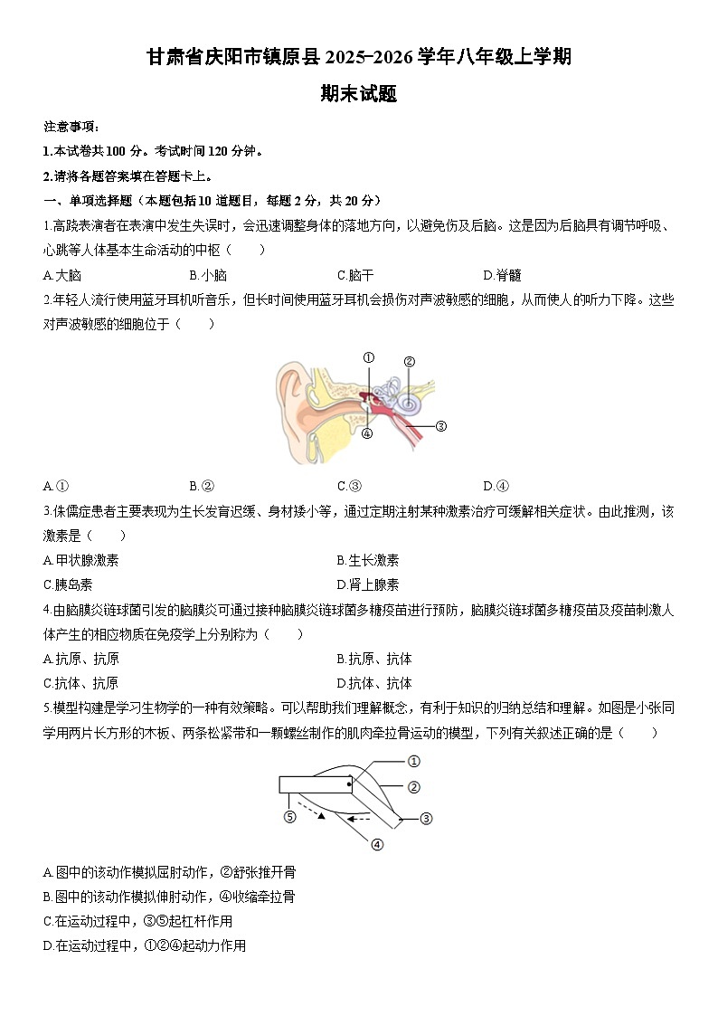 2025-2026学年甘肃省庆阳市镇原县八年级上学期期末生物试卷（学生版）第1页