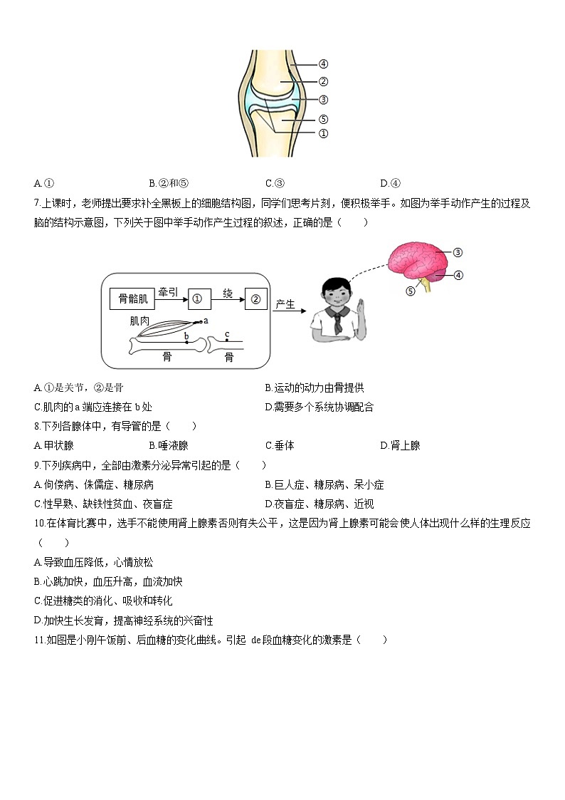 2025-2026学年湖南省岳阳市平江县八年级上学期期末生物试卷（学生版）第2页