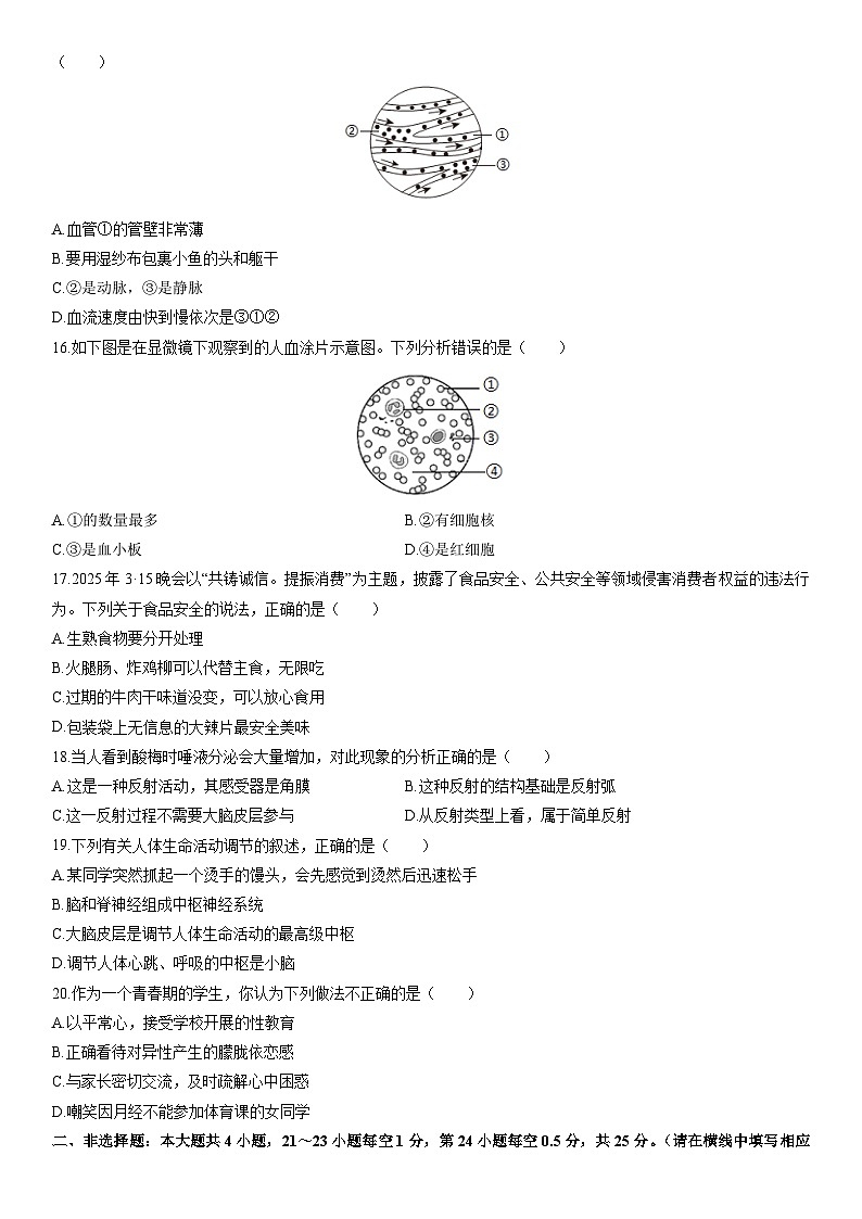 2025-2026学年甘肃省兰州市红古区八年级上学期期末生物试卷（学生版）第3页