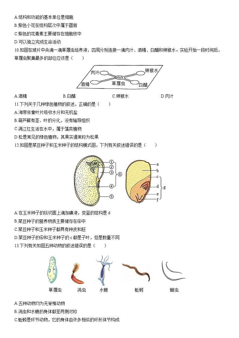 2025-2026学年河南省驻马店市汝南县七年级上学期期末考试生物试卷（学生版）第2页