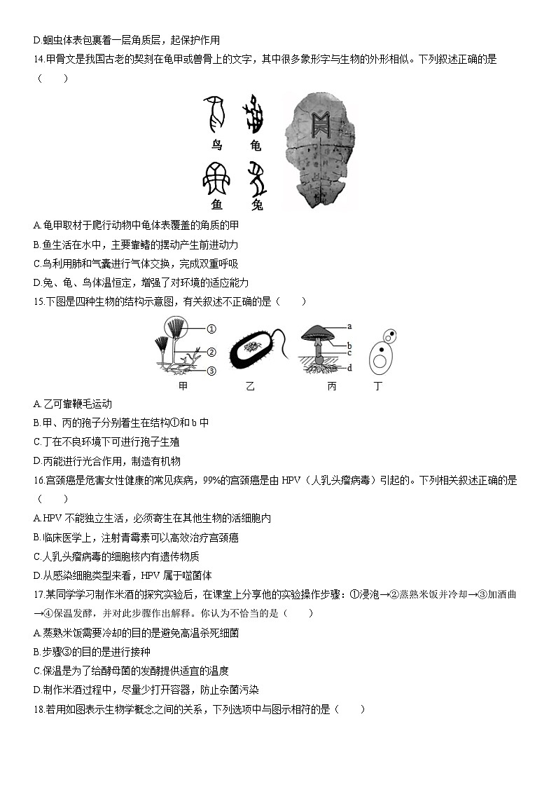 2025-2026学年河南省驻马店市汝南县七年级上学期期末考试生物试卷（学生版）第3页