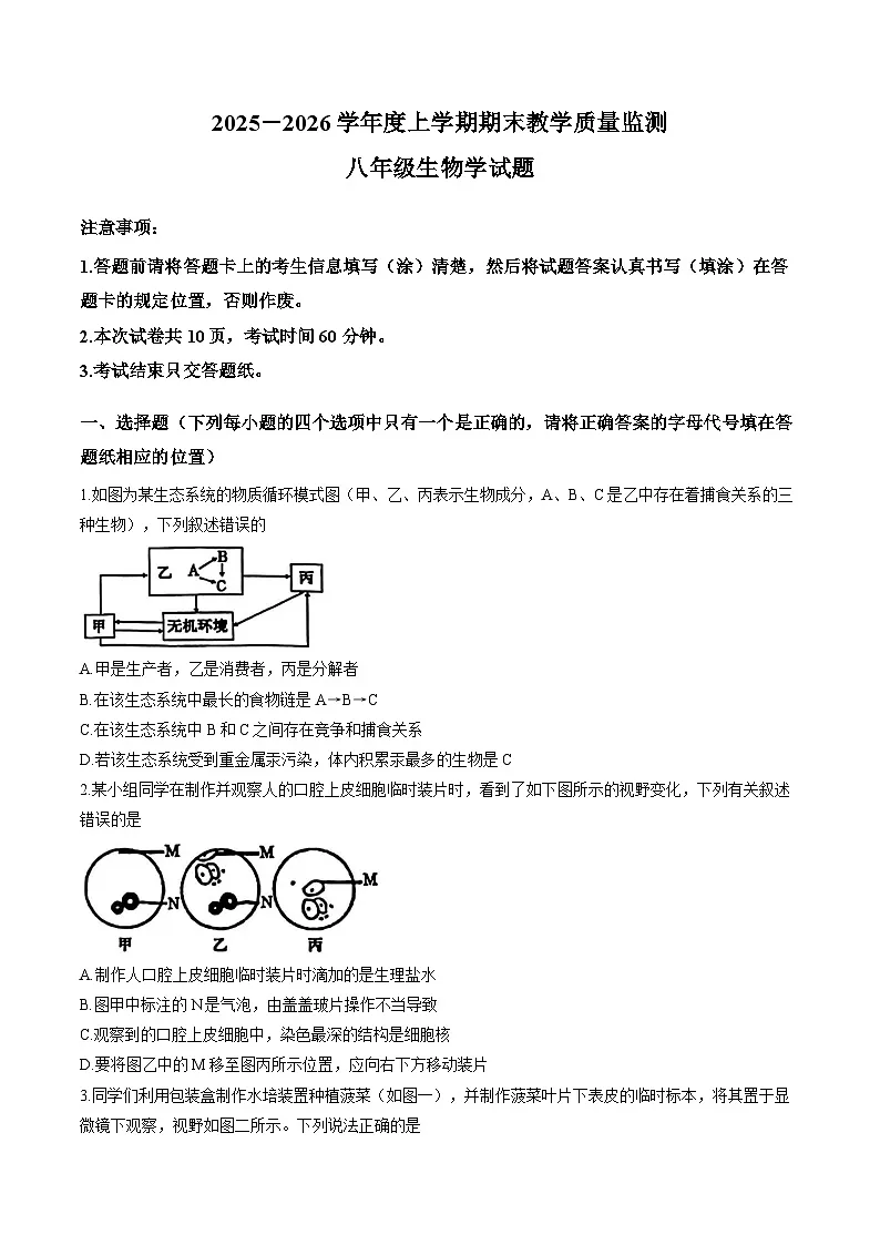 山东省泰安市肥城市2025-2026学年八年级上学期生物期末测试及答案第1页