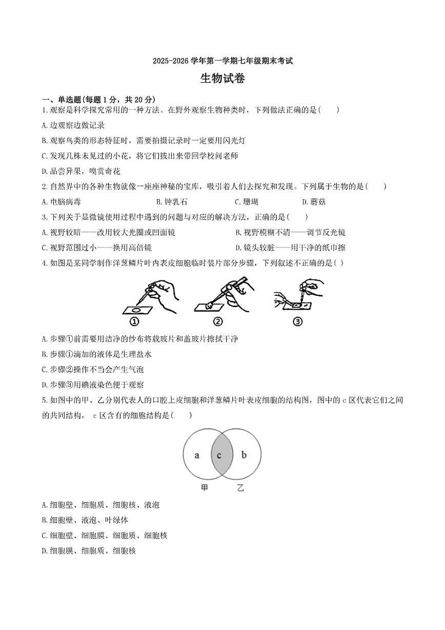 2025-2026学年河南省师范大学附属中学等校第一学期七年级期末考试生物试卷（含答案）第1页