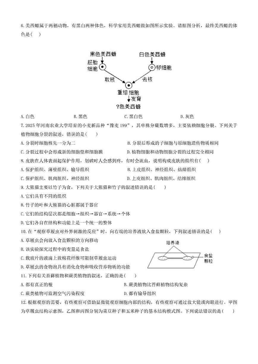 2025-2026学年河南省师范大学附属中学等校第一学期七年级期末考试生物试卷（含答案）第2页