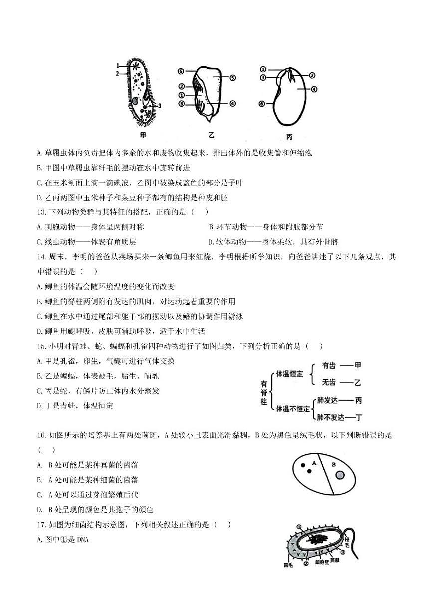 2025-2026学年河南省师范大学附属中学等校第一学期七年级期末考试生物试卷（含答案）第3页