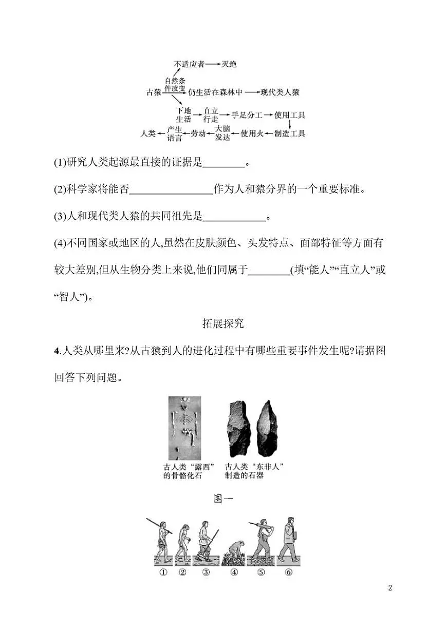 2025-2026学年6.3.4人类的起源同步练习度冀少版生物八年级下册（含答案）第2页