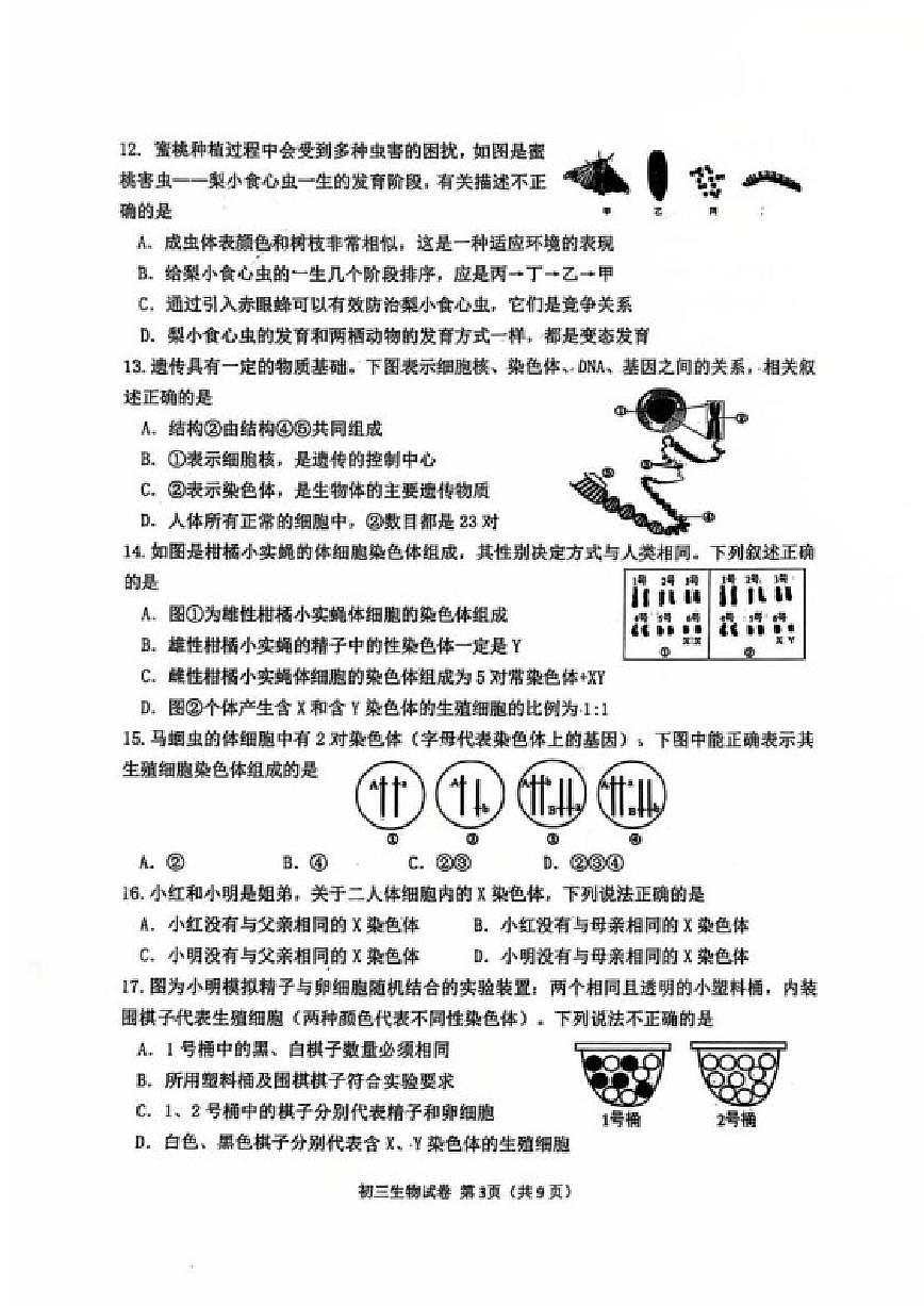 2025-2026学年山东威海乳山市（五四制）上学期期末初三生物学试题（含答案）第3页