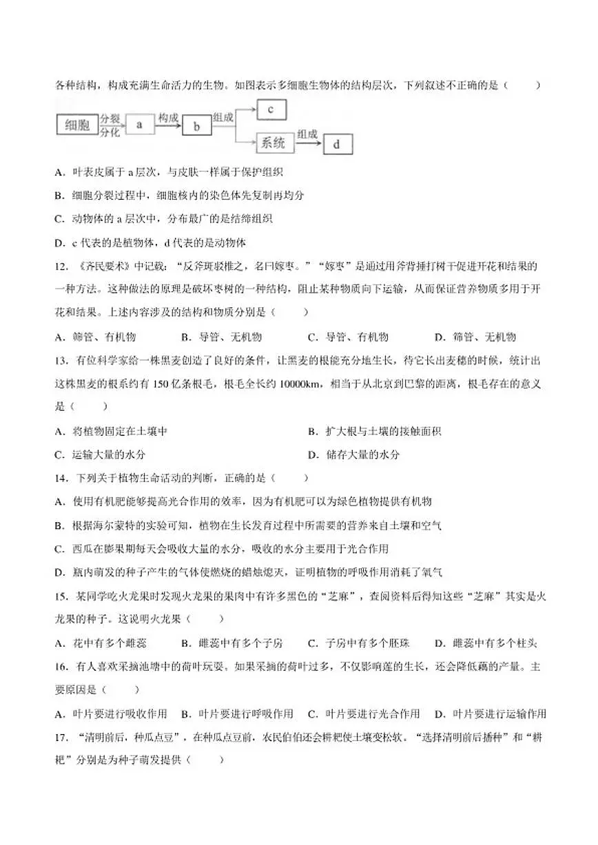 2025-2026学年安徽淮北市七年级上学期期末生物学试题（含答案）第3页
