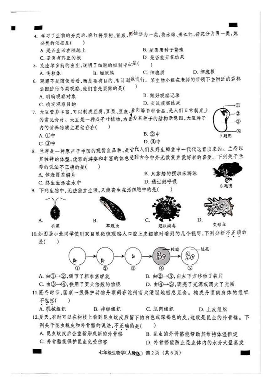 2025-2026学年河北沧州市孟村回族自治县七年级第一学期期末教学质量监测生物学试题（含答案）第2页