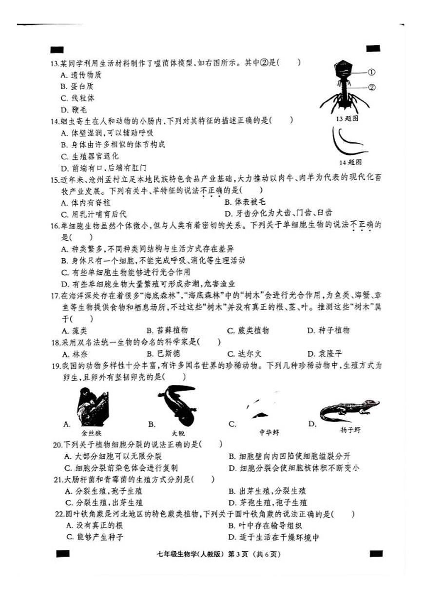 2025-2026学年河北沧州市孟村回族自治县七年级第一学期期末教学质量监测生物学试题（含答案）第3页