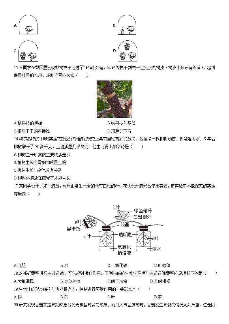 2025-2026学年河北省保定市莲池区八年级上学期期末生物试卷（学生版）第3页