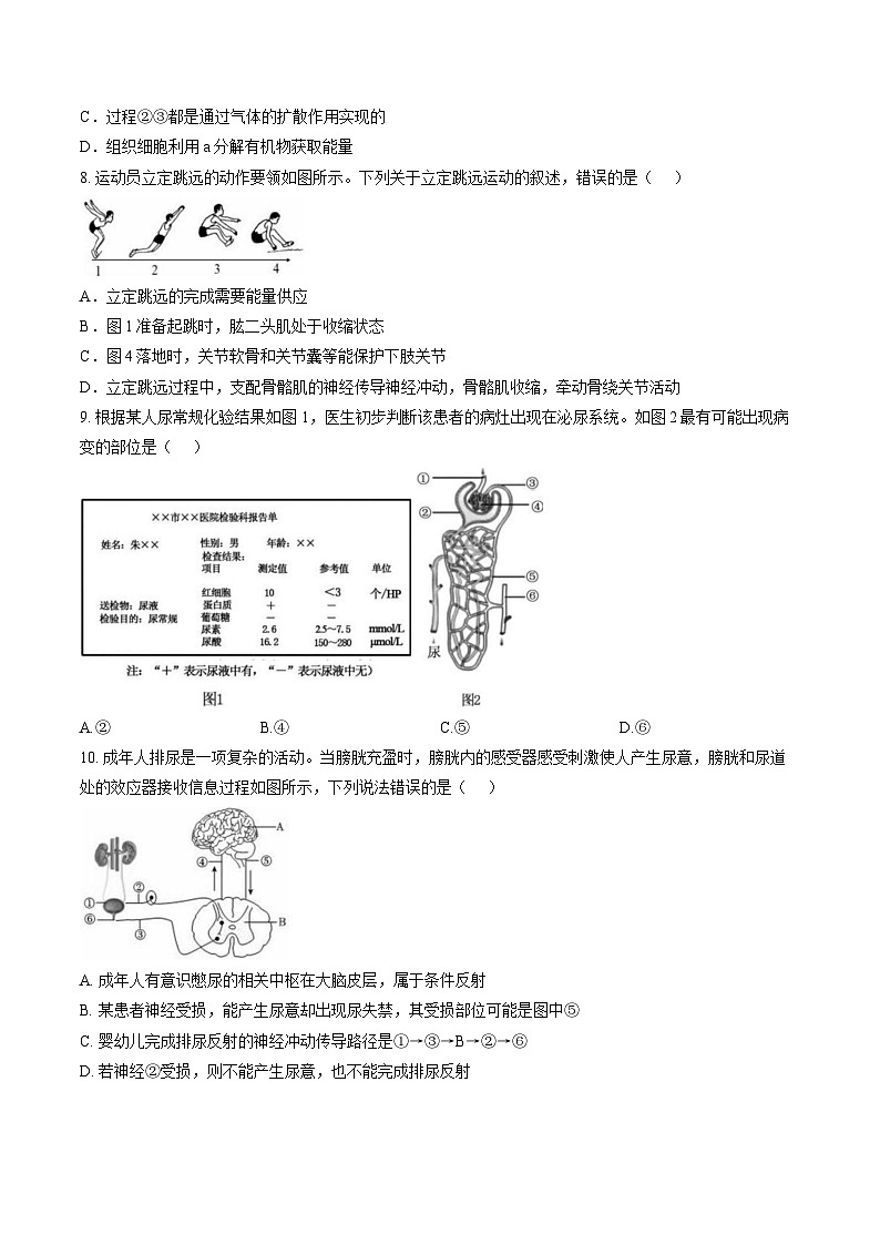 广东省茂名市化州市2025-2026学年八年级上学期期末考试生物试卷含答案第3页