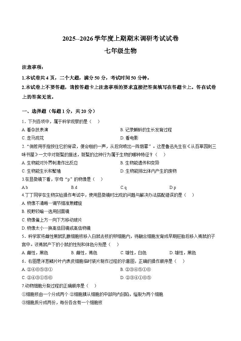河南信阳市光山县2025-2026学年上学期期末调研考试七年级生物第1页