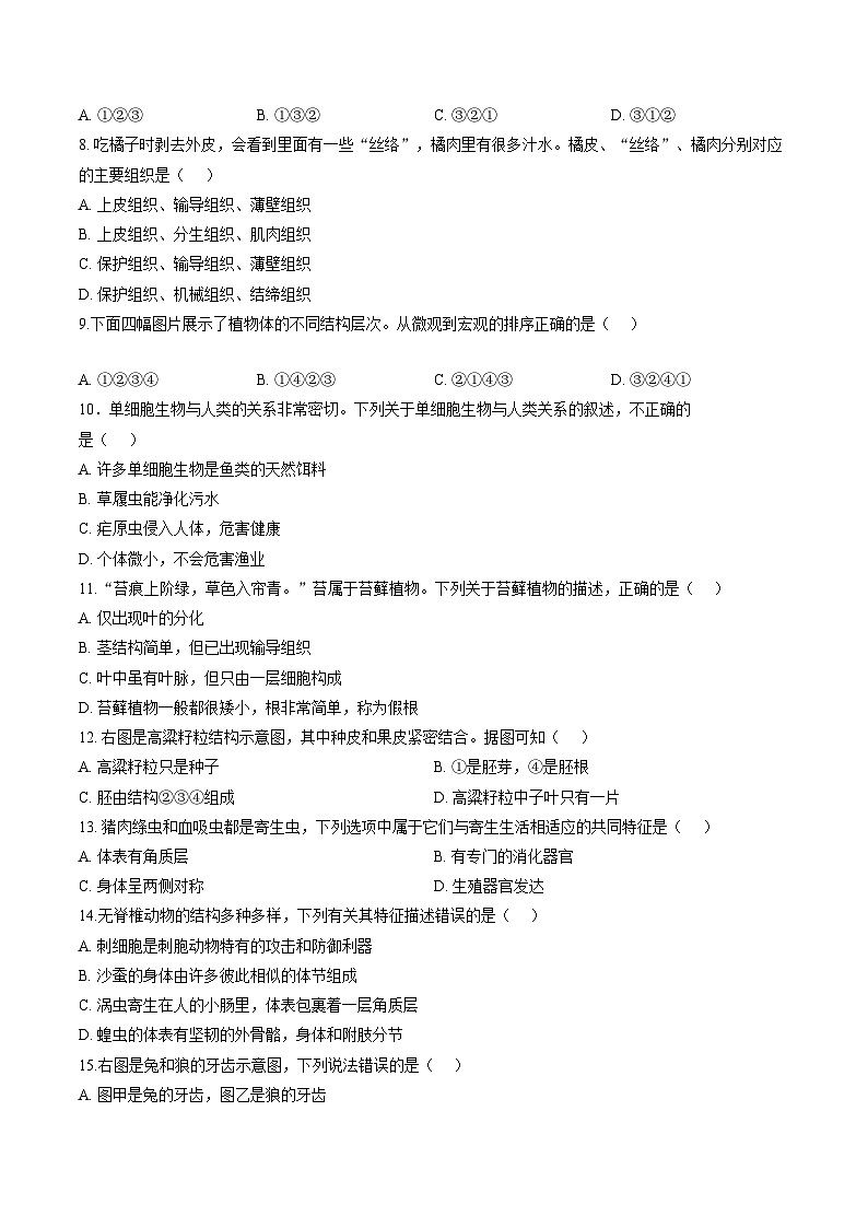 河南信阳市光山县2025-2026学年上学期期末调研考试七年级生物第2页