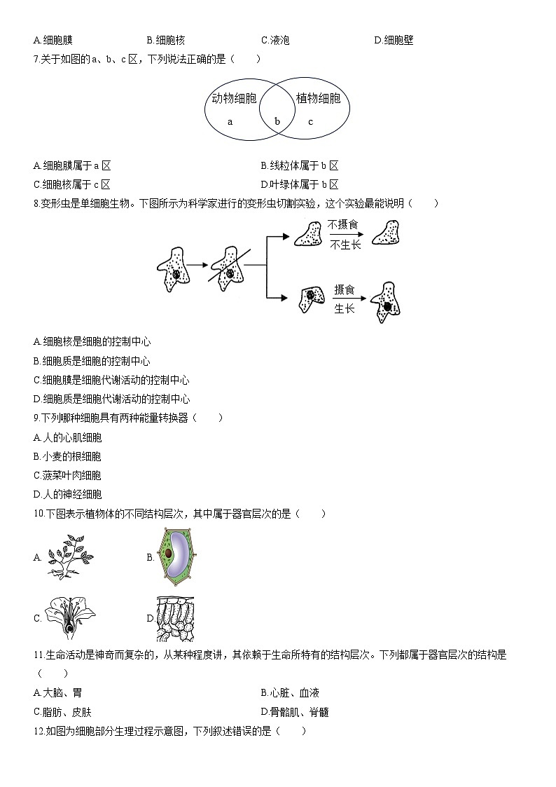 2025-2026学年新疆和田地区墨玉县七年级上学期期末考试生物试卷（学生版）第2页