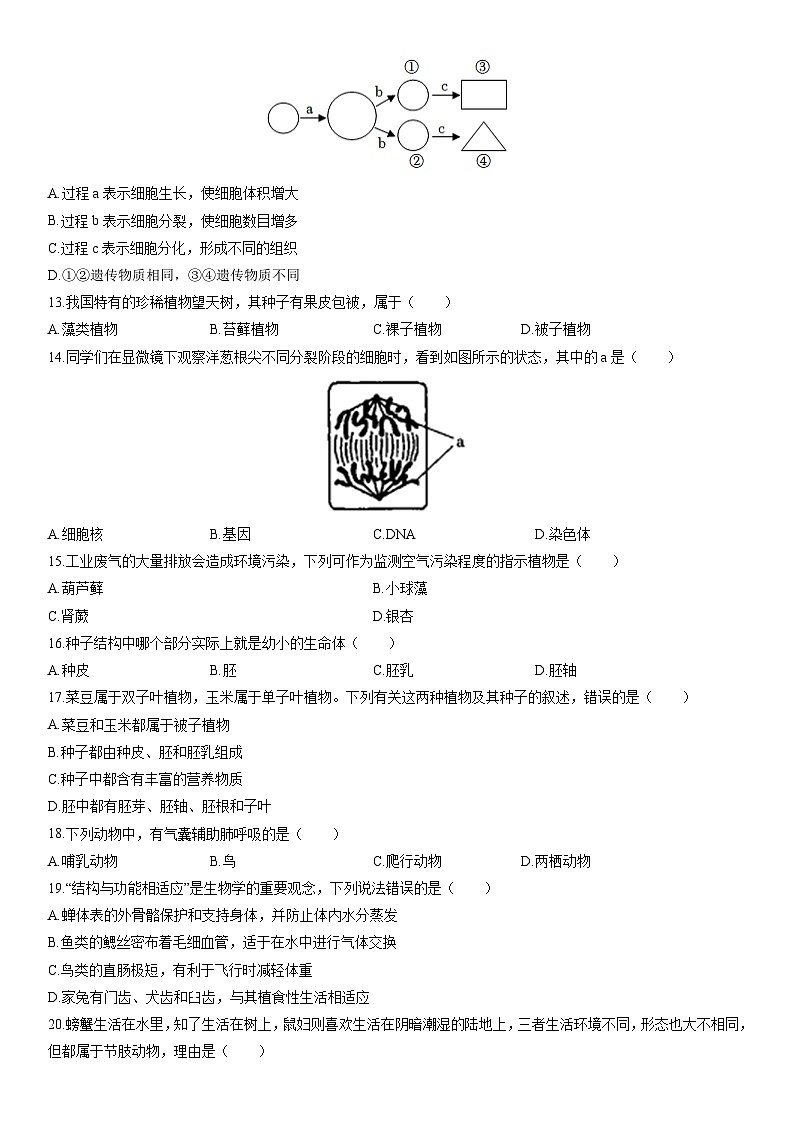 2025-2026学年新疆和田地区墨玉县七年级上学期期末考试生物试卷（学生版）第3页