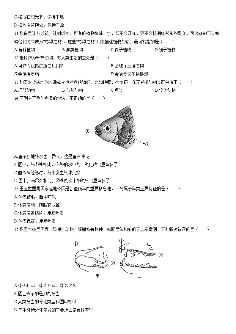 2025-2026学年新疆和田地区七年级上学期期末考试生物试卷（学生版）第2页