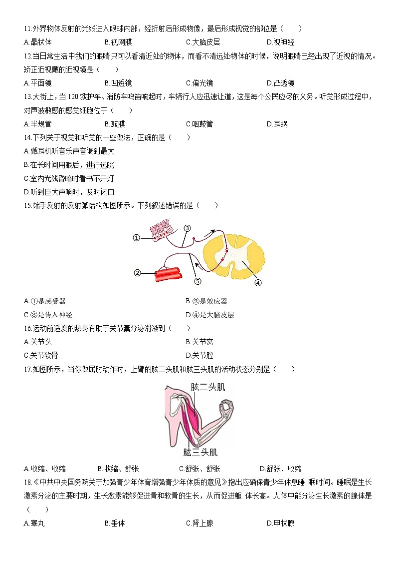 2025-2026学年新疆吐鲁番市八年级上学期期末生物试卷（学生版）第2页