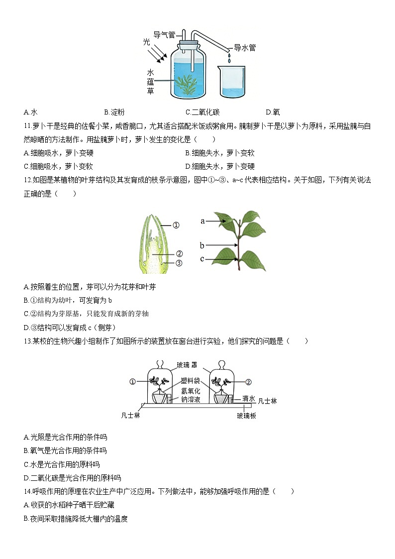2025-2026学年广西钦州市灵山县八年级上学期期末生物试卷（学生版）第3页