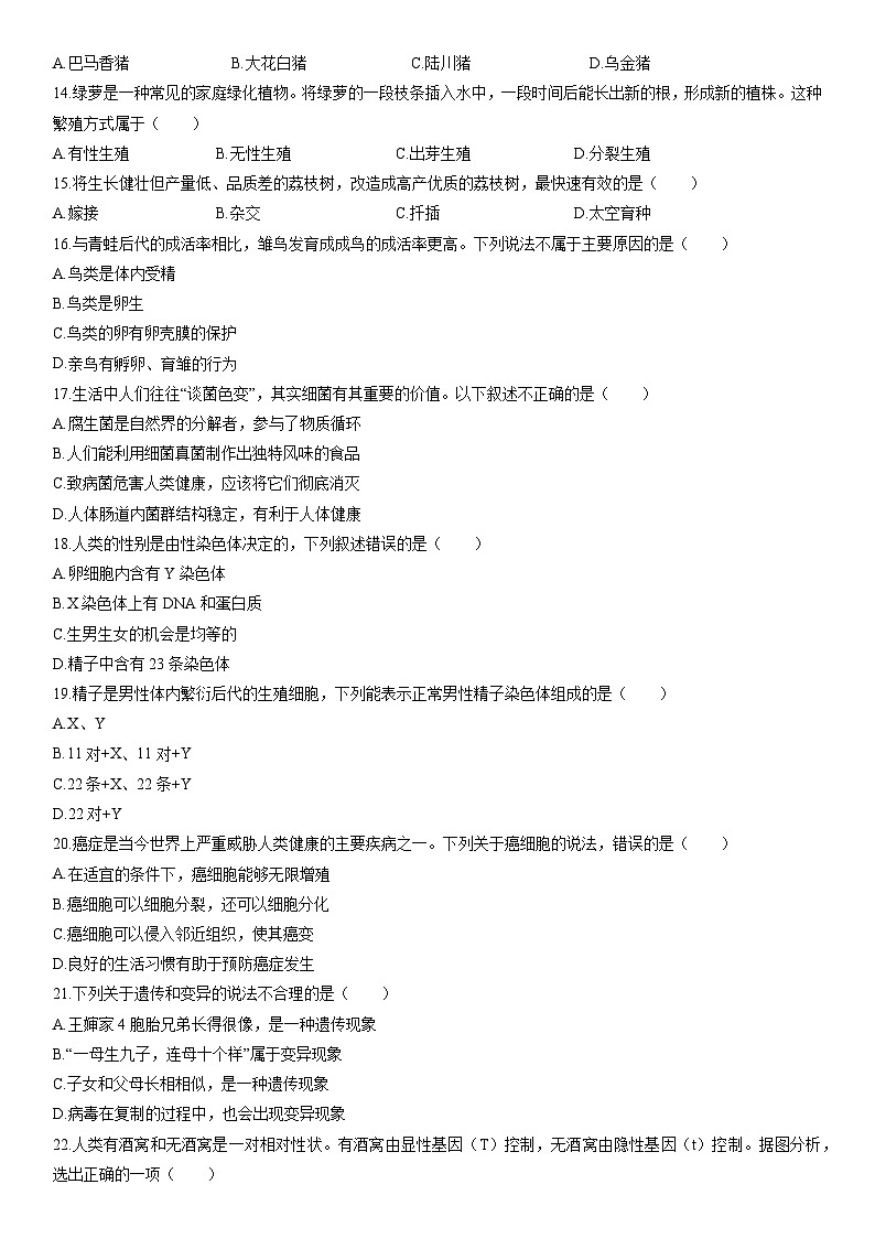 2025-2026学年广东省揭阳市惠来县八年级上学期期末生物试卷（学生版）第3页