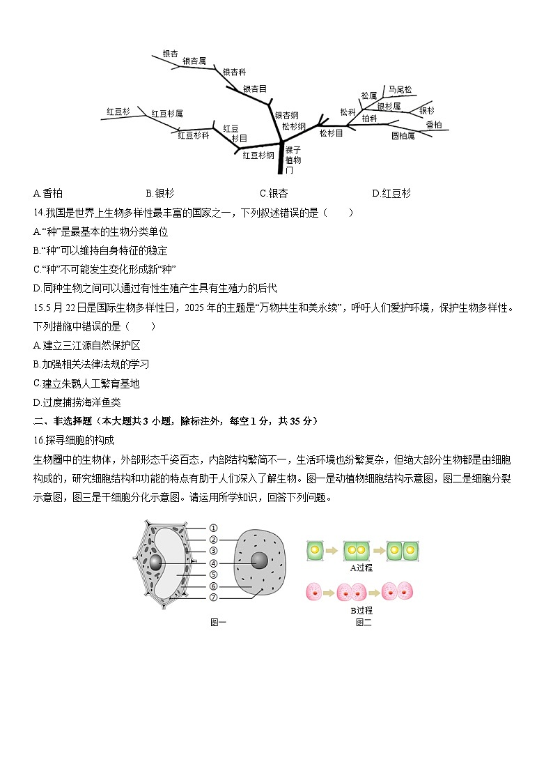 2025-2026学年山西省运城市闻喜县七年级上学期期末考试生物试卷（学生版）第3页