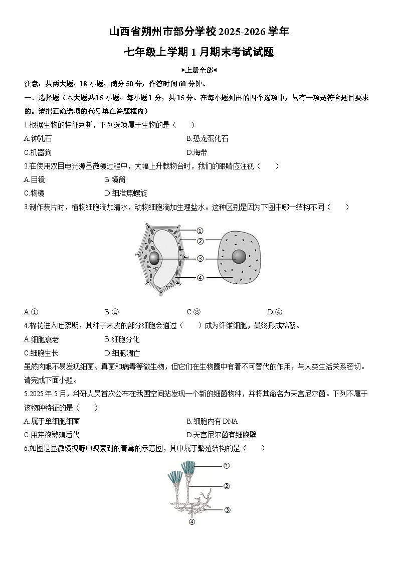 2025-2026学年山西省朔州市部分学校七年级上学期1月期末考试生物试卷（学生版）第1页