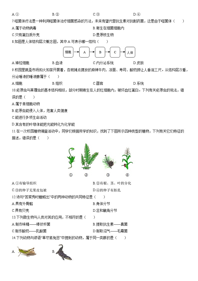 2025-2026学年山西省朔州市部分学校七年级上学期1月期末考试生物试卷（学生版）第2页