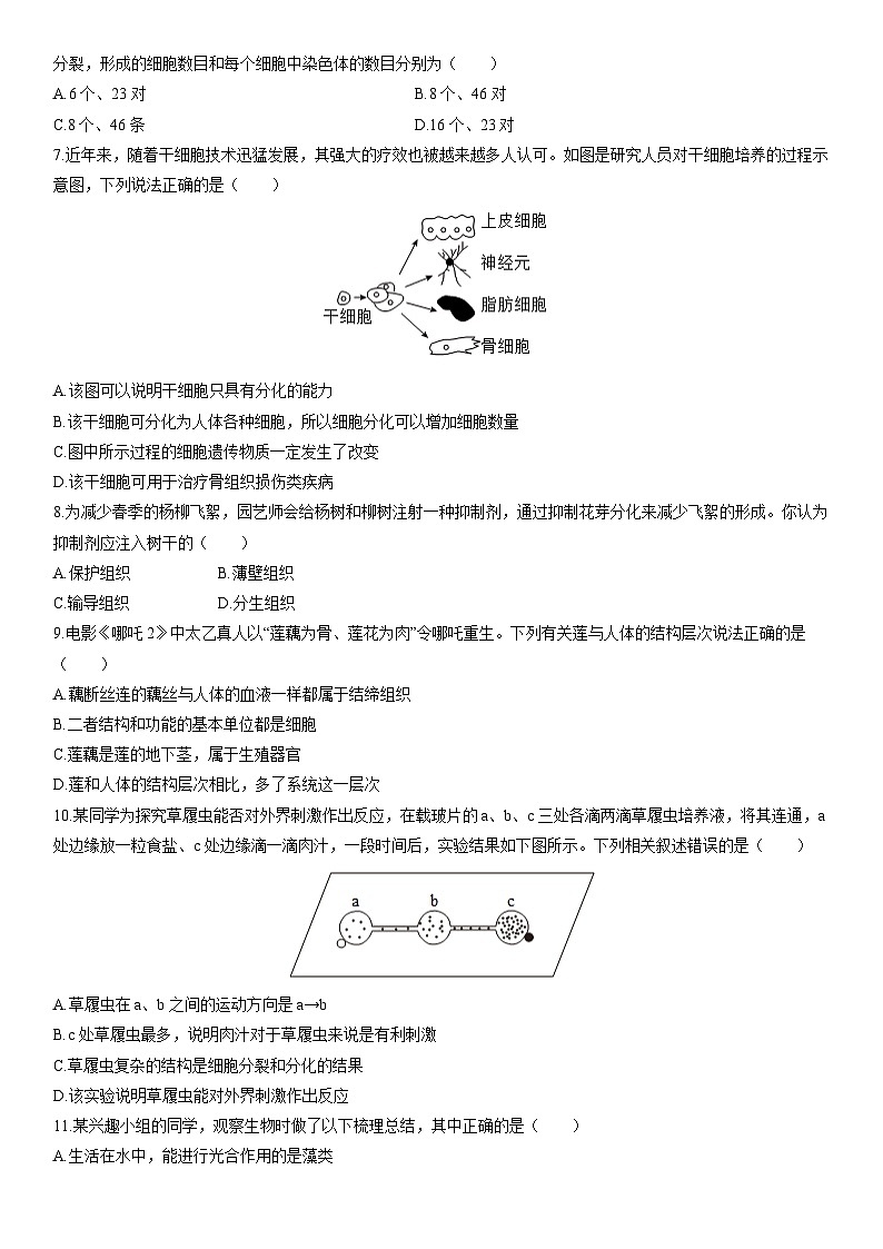 2025-2026学年内蒙古自治区包头市东河区七年级上学期期末考试生物试卷（学生版）第2页