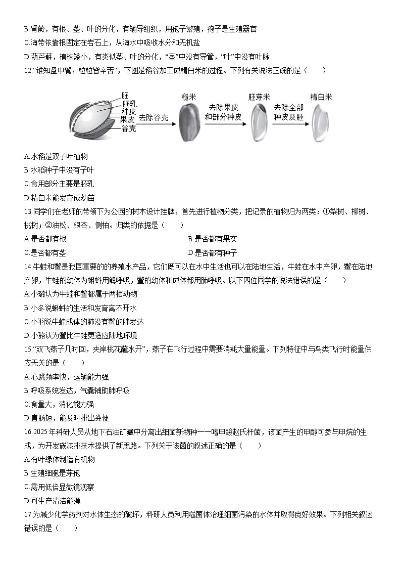 2025-2026学年内蒙古自治区包头市东河区七年级上学期期末考试生物试卷（学生版）第3页