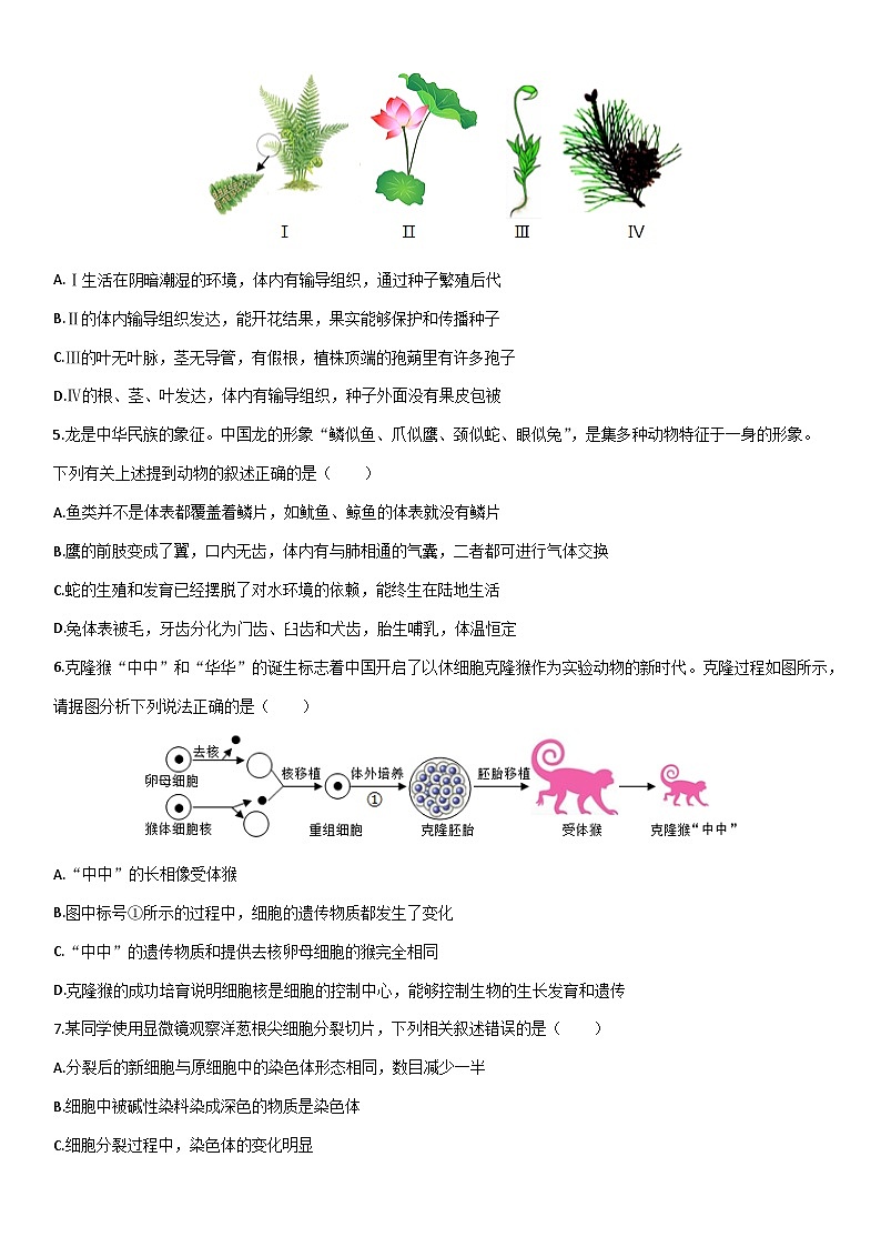 2025-2026学年内蒙古兴安盟乌兰浩特市七年级上学期期末考试生物试卷（学生版）第2页