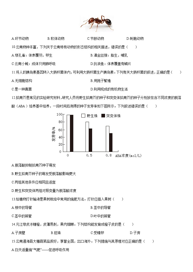 2025-2026学年云南省昆明市西山区八年级上学期期末生物试卷（学生版）第3页