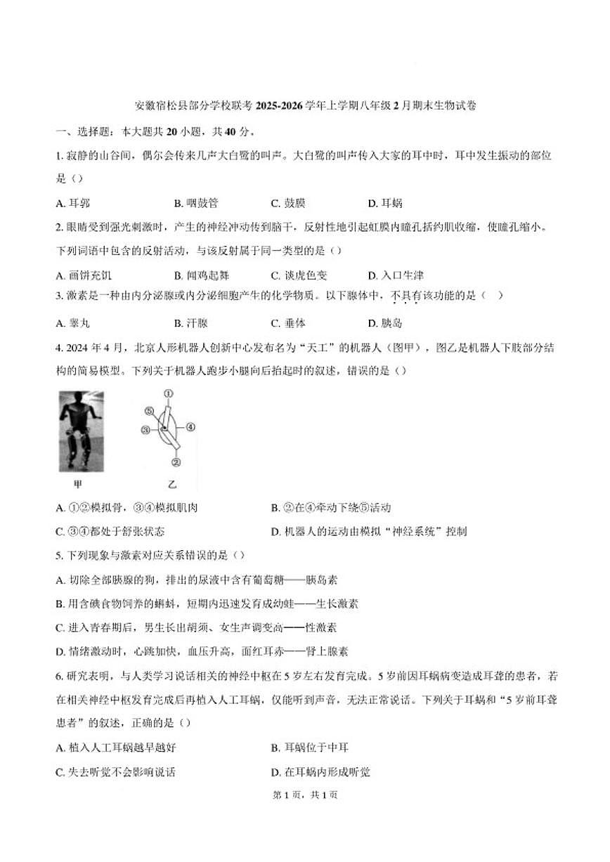 2025-2026学年安徽安庆市宿松县部分学校上学期2月期末八年级生物学试题（含答案）第1页