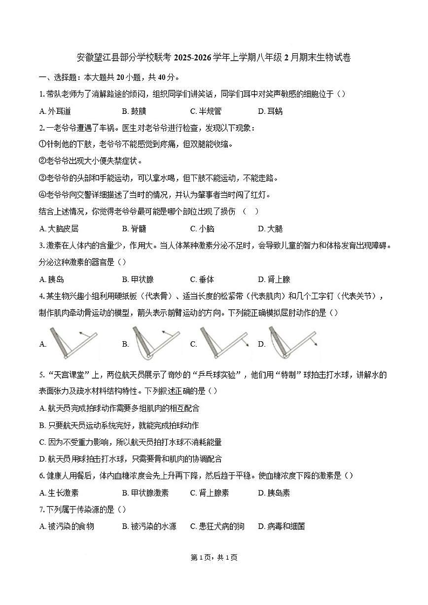 安徽省安庆市望江县学校联考(月考)2025～2026学年八年级上2月期末考试生物试卷(含答案)第1页