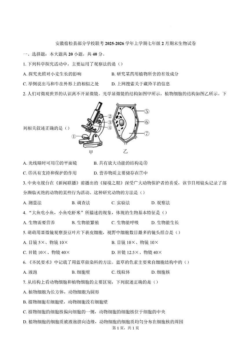 2025-2026学年安徽省安庆市宿松县部分学校七年级上学期2月期末考试生物试卷（含答案）第1页