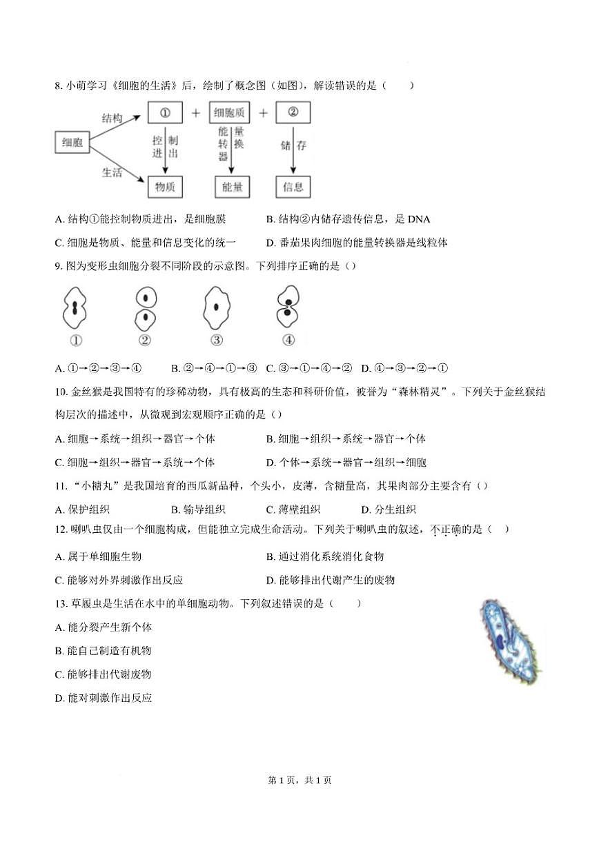 2025-2026学年安徽省安庆市宿松县部分学校七年级上学期2月期末考试生物试卷（含答案）第3页