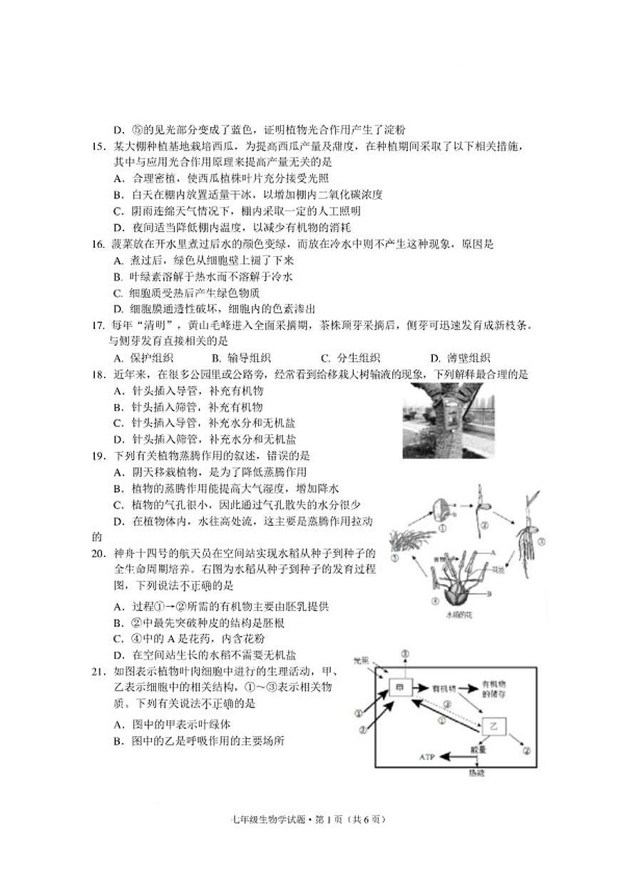 2025-2026学年安徽省黄山地区第一学期期末质量监测七年级生物学试题（含答案）第3页