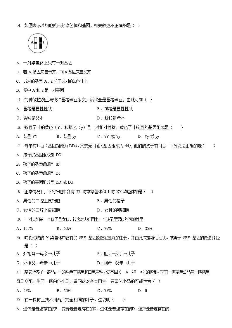 广东省广州市花都区2022-2023学年八年级下学期期中生物试题（含答案）第3页
