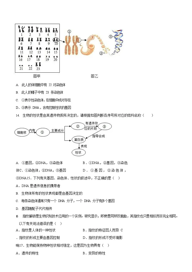 广东省广州市黄埔区2022-2023学年八年级下学期期中生物试题（含答案）第3页