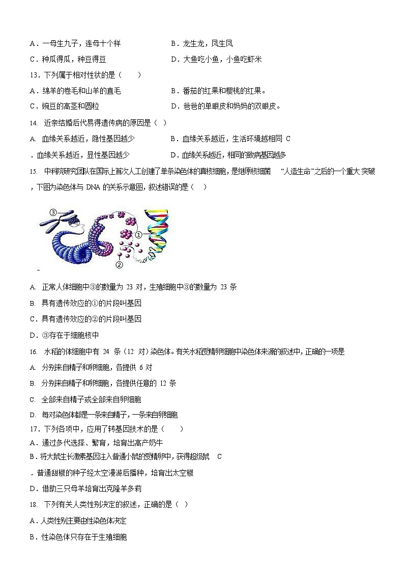 广东省广州市天河四大学校2021-2022学年八年级下学期期中生物试题（含答案）第3页